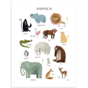 Shop All | Animalia - Children's Poster - Animals - CaringForTots - Professional Baby and Children's Products | Caring for Growth, Caring for Every Moment