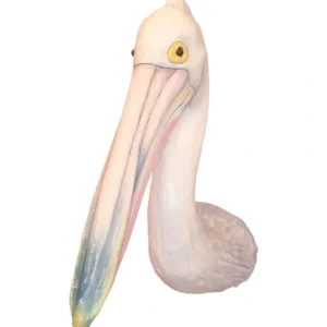 Shop All | Australian Pelican Mount - CaringForTots - Professional Baby and Children's Products | Caring for Growth, Caring for Every Moment