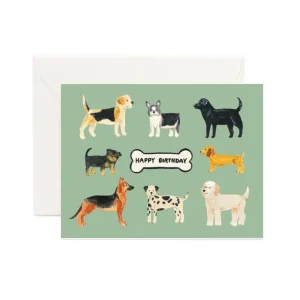 Shop All | Birthday Dogs - CaringForTots - Professional Baby and Children's Products | Caring for Growth, Caring for Every Moment