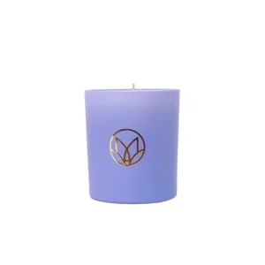 Shop All | Black Currant & Geranium Soy Candle - CaringForTots - Professional Baby and Children's Products | Caring for Growth, Caring for Every Moment