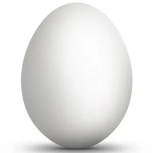 Shop All | Blown Out Hollow Real Goose Eggshell For Easter Egg Decorating 3.5-inches Tall - CaringForTots - Professional Baby and Children's Products | Caring for Growth, Caring for Every Moment