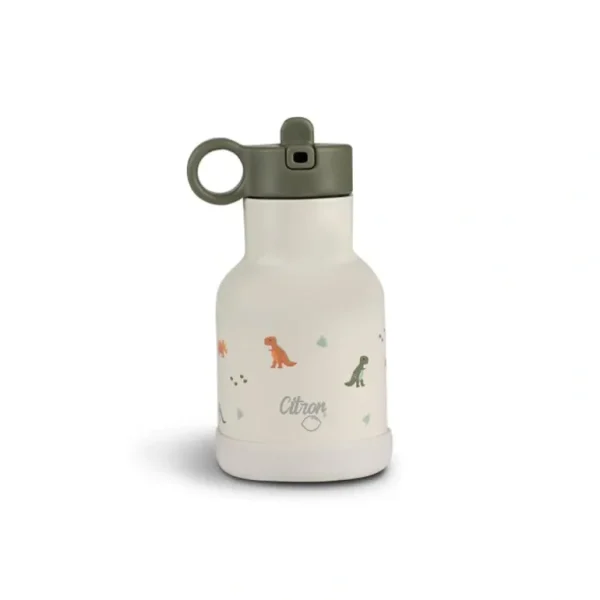 Shop All | Citron Stainless Steel Insulated Water Bottle - Dino - CaringForTots - Professional Baby and Children's Products | Caring for Growth, Caring for Every Moment