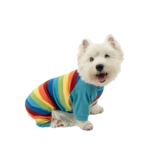 Shop All | Dog Cotton Rainbow Boy Stripes Pajamas - CaringForTots - Professional Baby and Children's Products | Caring for Growth, Caring for Every Moment