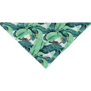Shop All | Dog Martinique Banana Leaf Bandana - CaringForTots - Professional Baby and Children's Products | Caring for Growth, Caring for Every Moment