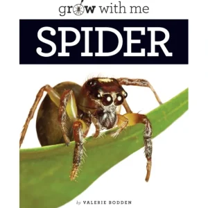 Store Grow with Me: Spider by The Creative Company - CaringForTots - Professional Baby and Children's Products | Caring for Growth, Caring for Every Moment