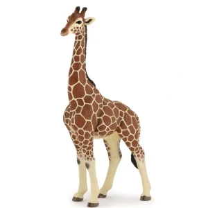 Discount Papo France Giraffe Male - CaringForTots - Professional Baby and Children's Products | Caring for Growth, Caring for Every Moment