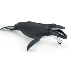 Discount Papo France Humpback Whale - CaringForTots - Professional Baby and Children's Products | Caring for Growth, Caring for Every Moment