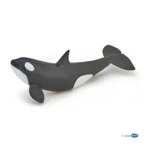 Outlet Papo France Killer Whale Calf - CaringForTots - Professional Baby and Children's Products | Caring for Growth, Caring for Every Moment