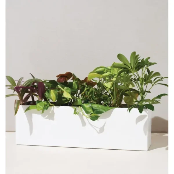 Planter Box - CaringForTots - Professional Baby and Children's Products | Caring for Growth, Caring for Every Moment* Accessory