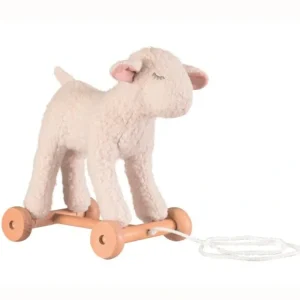 Pull-Along Mary - CaringForTots - Professional Baby and Children's Products | Caring for Growth, Caring for Every Moment* -