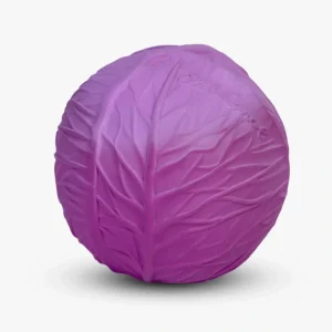 Purple Cabbage Baby Ball - CaringForTots - Professional Baby and Children's Products | Caring for Growth, Caring for Every Moment* Baby & Toddler