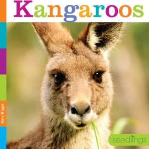 Seedlings: Kangaroos by The Creative Company - CaringForTots - Professional Baby and Children's Products | Caring for Growth, Caring for Every Moment* Toys