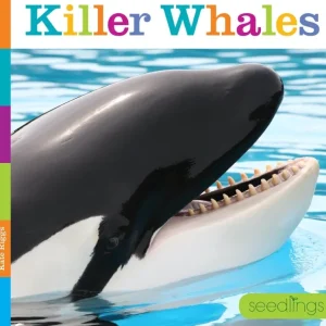 Books | Seedlings: Killer Whales by The Creative Company - CaringForTots - Professional Baby and Children's Products | Caring for Growth, Caring for Every Moment