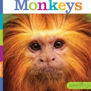 Books | Seedlings: Monkeys by The Creative Company - CaringForTots - Professional Baby and Children's Products | Caring for Growth, Caring for Every Moment