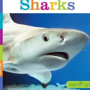 Books | Seedlings: Sharks by The Creative Company - CaringForTots - Professional Baby and Children's Products | Caring for Growth, Caring for Every Moment