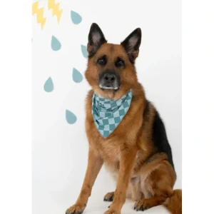 Stormy Checkers Dream Dog Bandana - CaringForTots - Professional Baby and Children's Products | Caring for Growth, Caring for Every Moment* The Dream Dog Bib